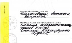 cертификат 2 клиника Эладент фото