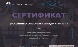 cертификат 2 клиника Эладент фото